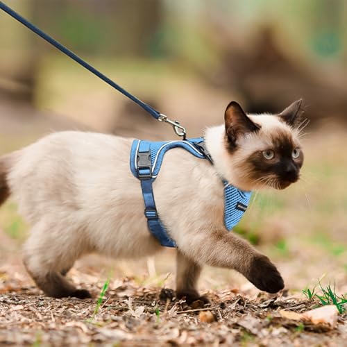 Cat Harness Cat Car Harness and Leash for Walking (Blue / Medium)
