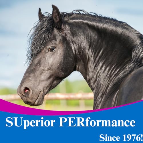 Gain Weight Supplement for Horses (10 lbs)