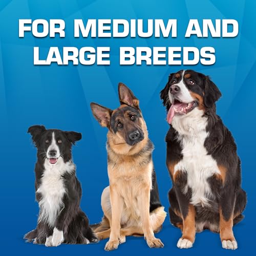 Trackshot Toss and Tug Ring Outdoor Dog Toy 2 Pack (Medium)