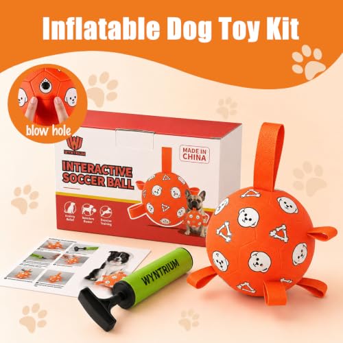 Dog Soccer Ball with Straps (Orange / Medium-6 Inch)