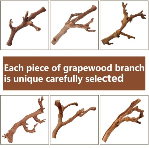 2PCS Reptile Wood Branches Decor (2Pcs 9.8in Grapewood Branches)
