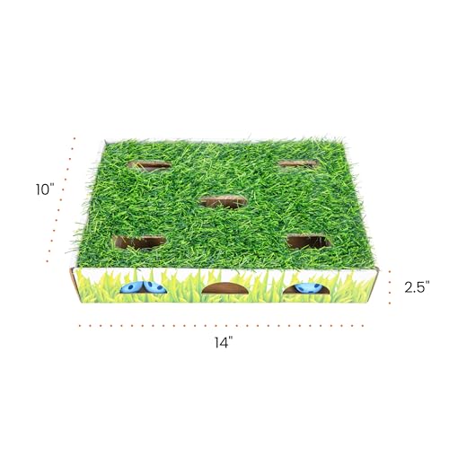 Grass Patch Hunting Box Cat Toy