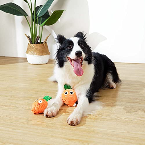 Dog Chew Toy with Ball