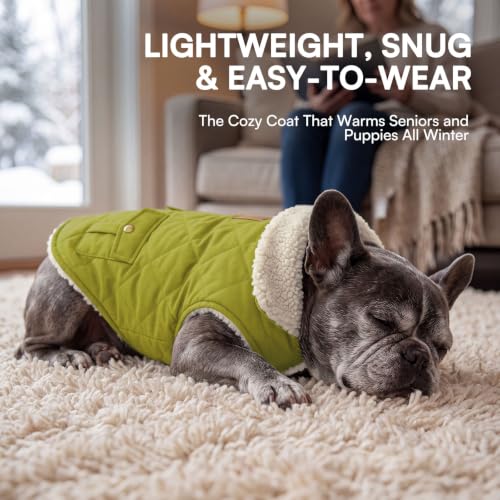 Waterproof Puffer Dog Coat Small Warm Plush Lining Winter Jacket (Small / Olive Green)
