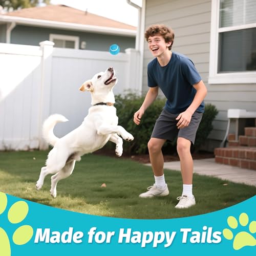 Tennis Balls for Dogs (2.5" Squeaky / 12 Pack, 4 Colors)