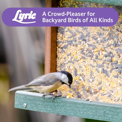 Wild Bird Seed Mix
