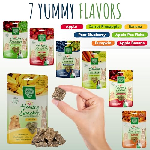 Healthy Snackers (2 Ounce (Pack of 1))