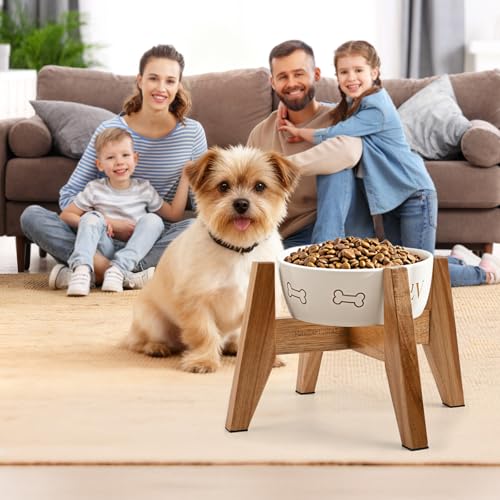 Elevated Dog Bowl Stand for Small Dogs (Small - 2 Pack)