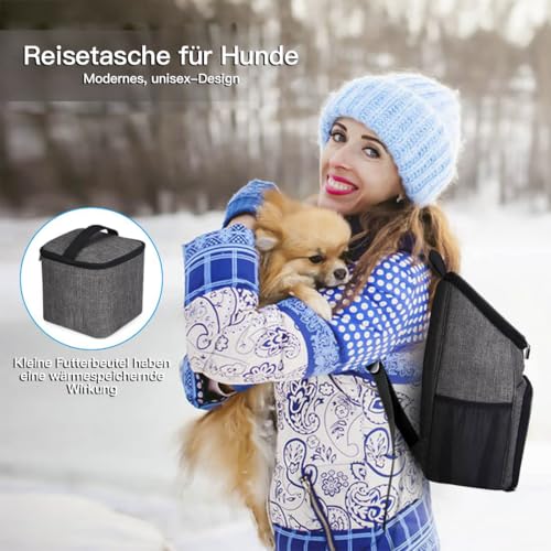 Dog Travel Bag (Grey-A)