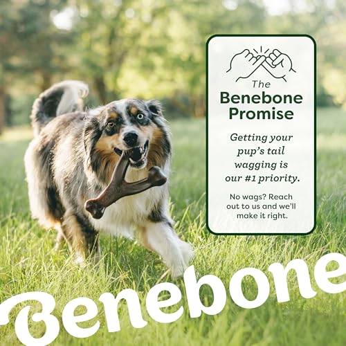4-Pack Ball/Bone/Bacon Wishbone/Fishbone Medium (4 Pack)