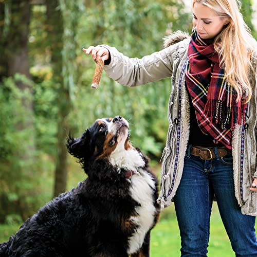 Dog Treats Bones