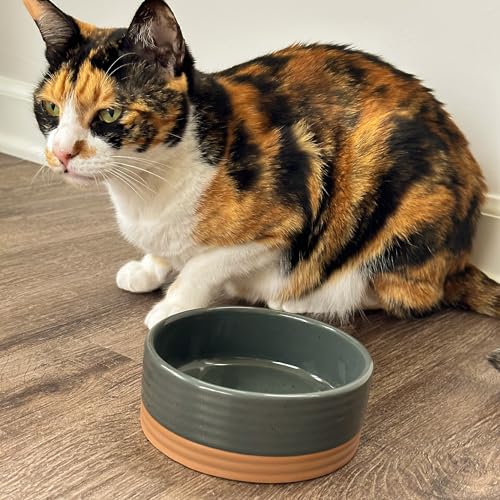 Ceramic Pet Bowl Size Small (Small / Charcoal)