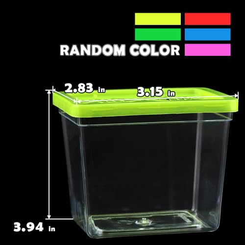 48 Pack Small Plastic Reptile Carrier Tarantula Enclosure Breeding Box Hatching Container for Spider Snail Turtle Hermit Crab Insect