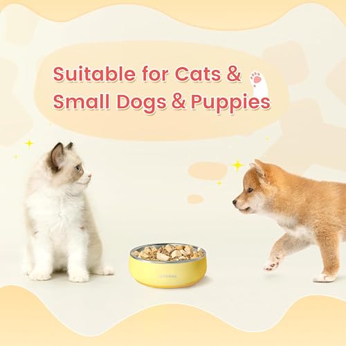 Small Dog Bowl (12oz / Cheese Yellow)