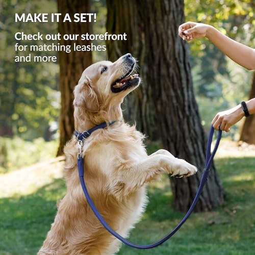 Tangle Free Reflective Leather Dog Collar (Deep Blue / M)