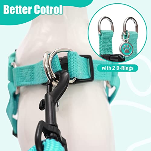 No Pull Dog Harness Small Sized Step (Light Green / X-Small)