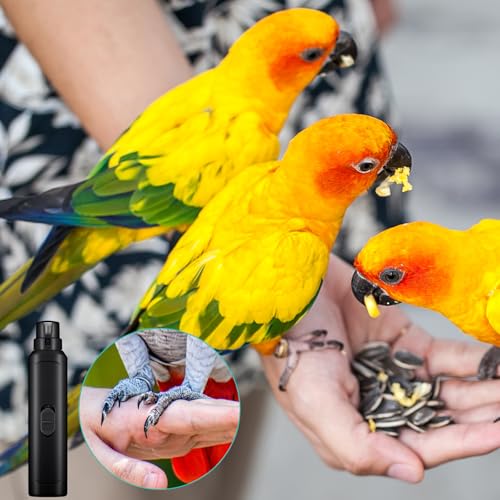2 Pcs Bird Nail Grinder with Clipper Bird Nail Trimmer File Pet Grooming Tool for Parrot Budgerigars Parakeets Myna Conure Finches Lovebirds (Black)