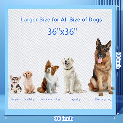 XXXL Puppy Pee Pads for Dogs 36"x36" 40 Count