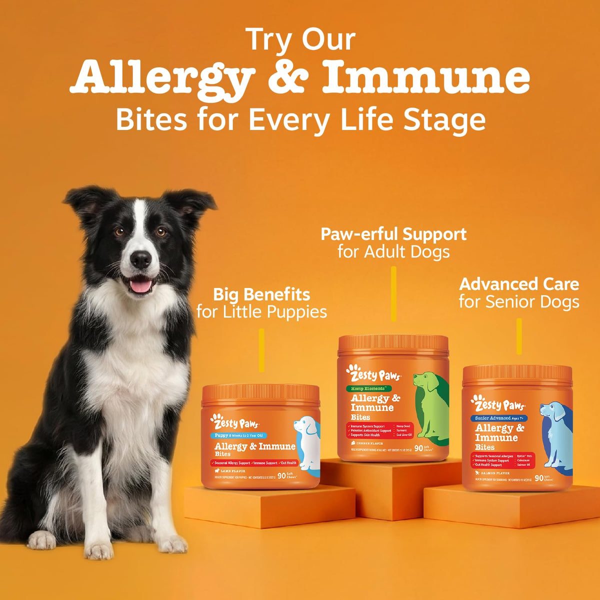 Hemp Dog Allergy Chews (90 Count (Pack of 1) - Standard)