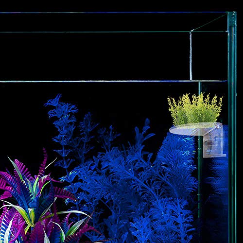 2Pack Aquarium Shelf