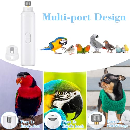 2 Pcs Bird Nail Grinder with Clipper Bird Nail Trimmer File Pet Grooming Tool for Parrot Budgerigars Parakeets Myna Conure Finches Lovebirds (White)