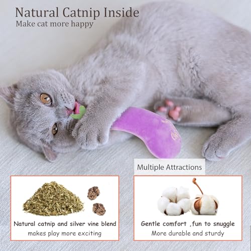 Catnip Cat Toys 5 Pack Vegetable Plush for Indoor Cats (Vegetables Catnip toys 5 Pack)