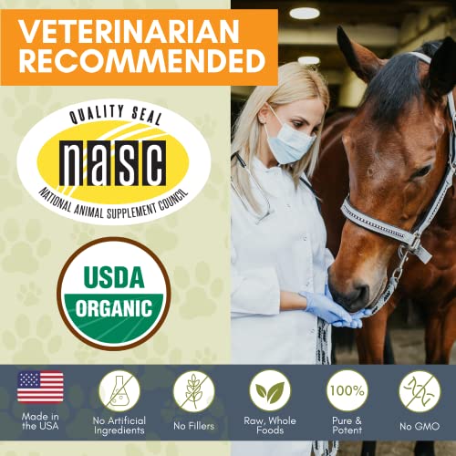 Horse Supplement for Total Body Health