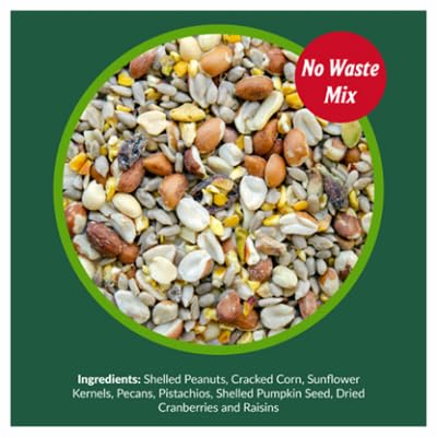 Woodpecker Wild Bird Seed