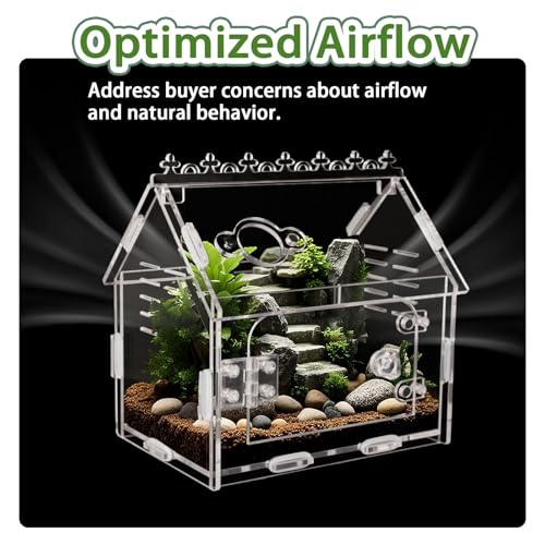 Jumping Spider Enclosure