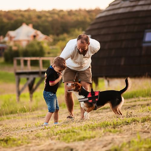 Dog Harness Reflective No (Red / Girth 27" to 34")