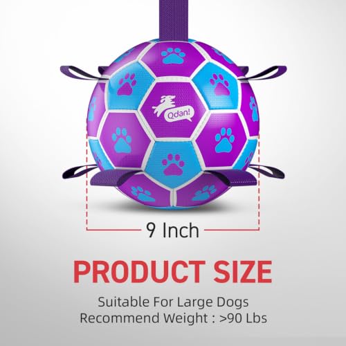 Big Dog Toys Large Herding Ball for Dogs Large (Purple-Blue / Extra Large Size 5 (9 Inch))