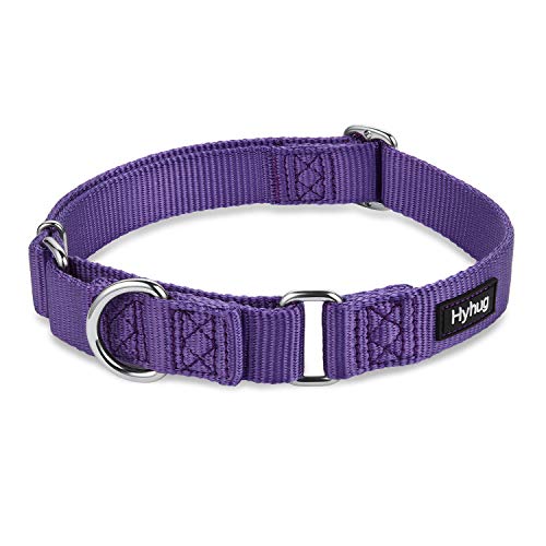 Martingale Collar for Dogs (Large / Ultra violet)