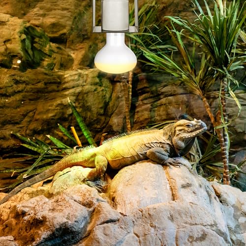 Reptile Ceramic Socket