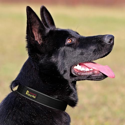 Tactical Dog Collar (M / Black)