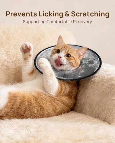 Soft Cat Cone Collar (Silent Moonlight / S)