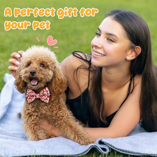 50 Pcs Paisley Dog Bow Ties