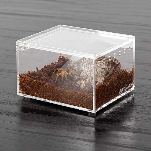 Magnetic Acrylic Case 4.1"x3.3"x2.5" Nano Enclosure Reptile Breeding Box Terrarium Cage Tank Tarantula Scorpion Sling Isopods Lizards Roach Invertebrates Insect Mantis