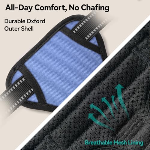 No Pull Dog Harness Reflective Adjustable with 2 Metal Leash Hooks (Large / Baby Blue)