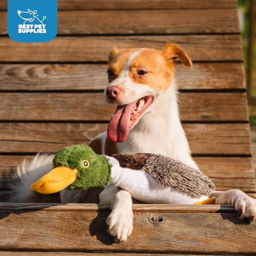 Interactive Squeaky Dog Chew Toy (Mallard Duck (Brown) / Small)