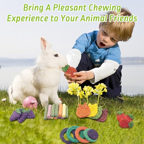 27 PCS Rabbit Chew Toys for Teeth