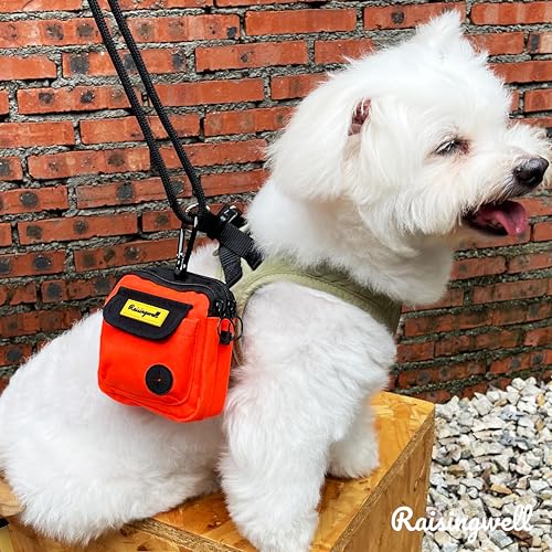 Dog Treat Pouch for Pet Walking and Training with Clicker (Two Bag / d6.Orange1)