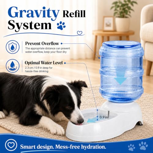 Pet Water Dispenser Station for Large Dogs and Cats (3 Gallon Water)