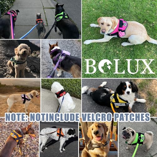 Dog Harness No (Medium (Pack of 1) / Silver)