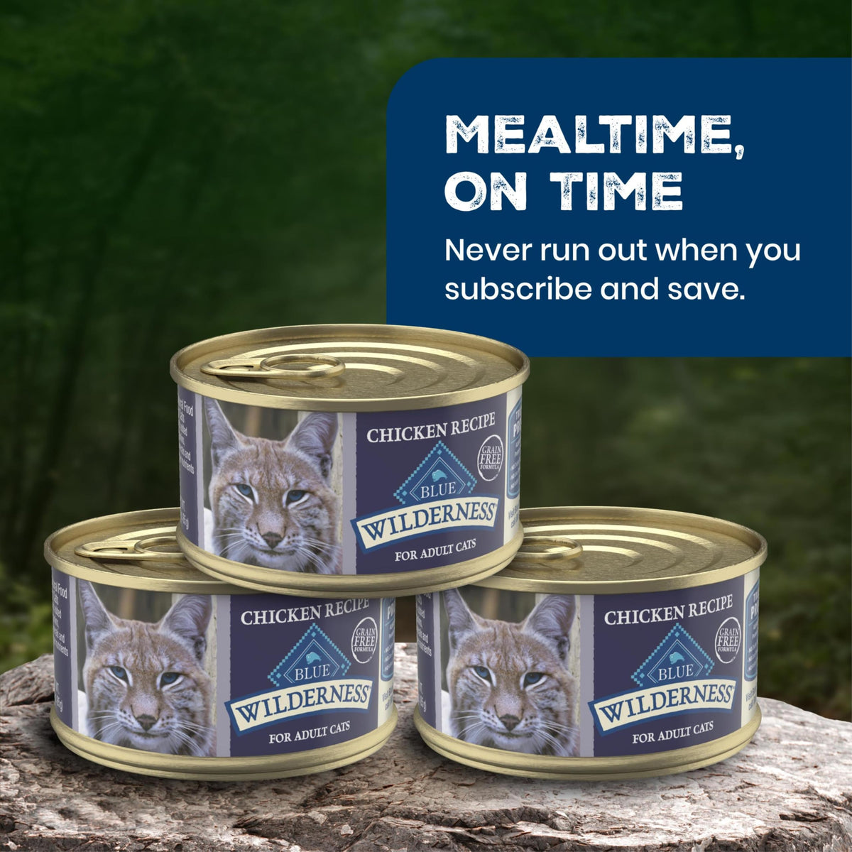 Wilderness Chicken Adult 7+ Wet Cat Food Paté (5.5 Ounce (Pack of 24))