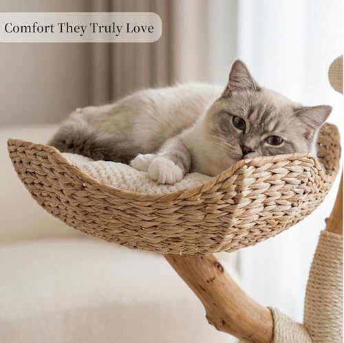 Aesthetic Real Wood Modern Cat Tree. 46 inches Tall