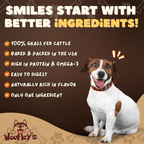 6 Inch Braided Collagen Sticks for Dogs