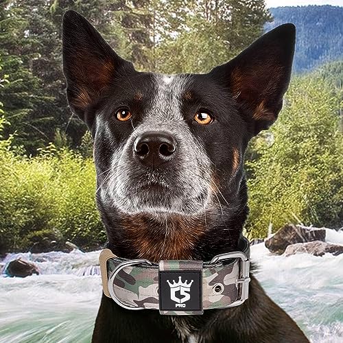 Heavy Duty Thick Dog Collar with Metal Buckle for Large Dogs (L – Fits Neck 18.9"-21.7" / Camo Military Green)