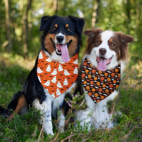 Halloween Dog Bandana 2 Pack (D)