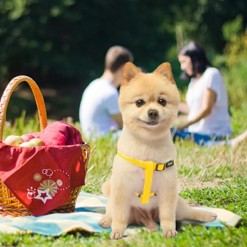 No Pull Dog Harness Small Sized Step (Yellow / X-Small)