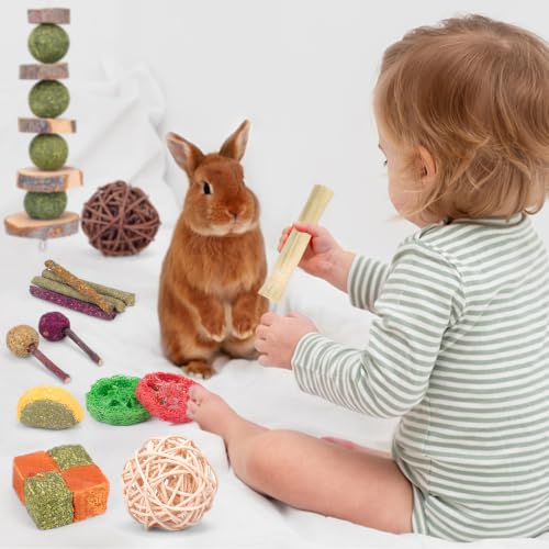 Bunny Toys for Rabbits Hamster (24Pack-Set)
